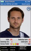Quartett Hertha BSC Berlin 2007/2008