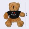 Teddy mit Pullover 