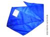 GDR Pioneer Bandana, blue
